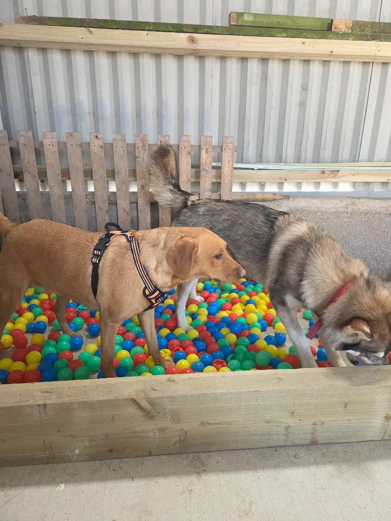 Daycare image