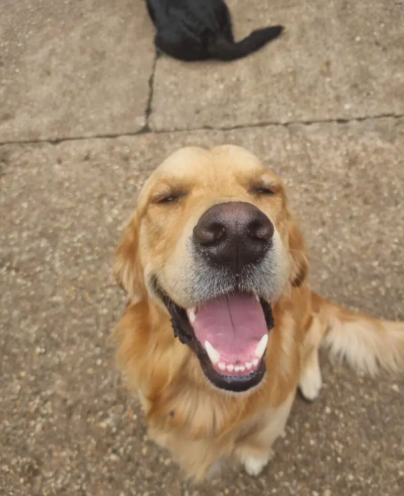 Walks image