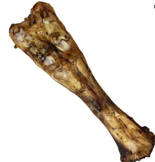 Beef Leg Bone