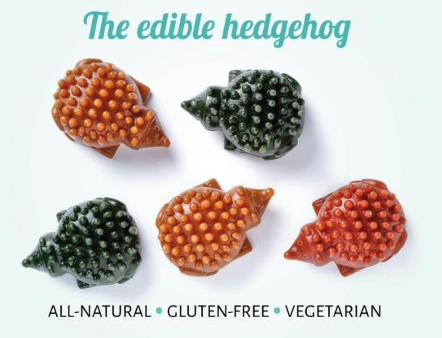Hedgehog Vegetarian Chew