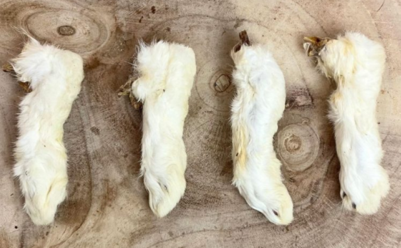 Rabbit Feet